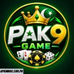 PAK9 Game