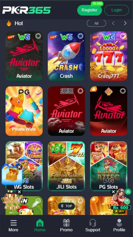 PKR365 Game Overview